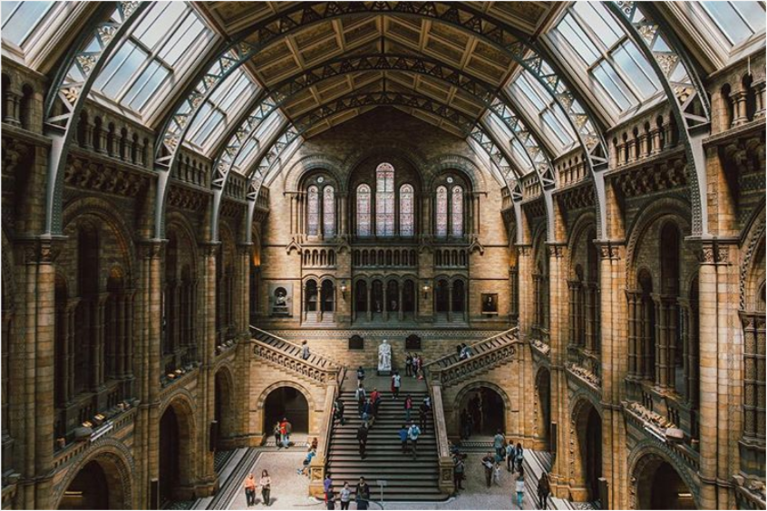 Natural History Museum @oysays on Instagram